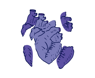 موشن گرافیکس