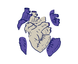 موشن گرافیکس