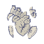 موشن گرافیکس