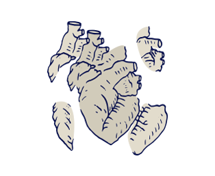 موشن گرافیکس